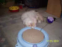 100_2272.webp