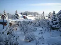 schnee.webp