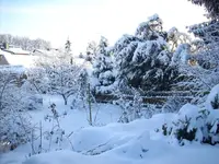 schnee3.webp