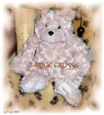 teddy gruß.webp