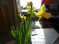 DSC02225.JPG