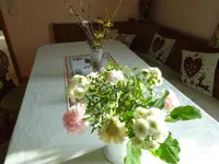 DSC02210.JPG