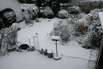 Winter   0222.JPG