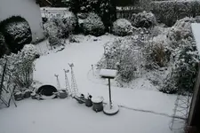 Winter   0222.webp