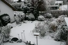 Winter   0322.webp
