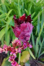 20190418_095736.jpg