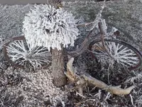 20170101_111705 (2).webp