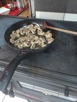 IMG_20220108_172912.jpg