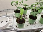 20220109_123532.jpg