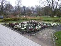P1060180.webp