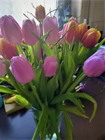 IMG_20210212_105620_3.webp