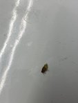 D3B73678-2239-479D-9677-69412B17E7FE.jpeg