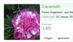 caramell.PNG