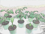 20220110_125735.4.jpg