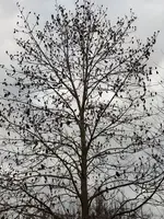 20201220_141332.webp