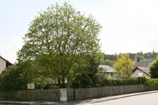 Gartenzaun0118.webp