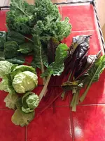 IMG_20220112_151421.webp