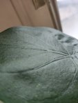 IMG_20220113_115311.jpg
