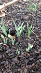 20220112_125115.jpg