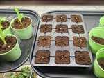 20220116_104954.jpg