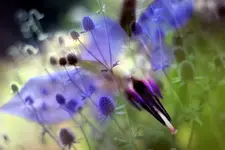 image002.webp