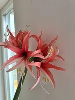 20220120_145546.jpg