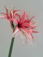 20220120_145528.jpg