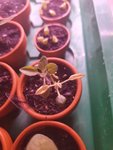 20220120_111044.jpg