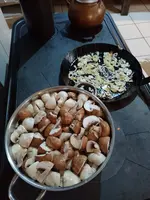 IMG_20220120_151445.jpg