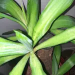 20220121_102423.jpg