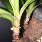20220121_102446.jpg