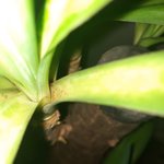 20220121_102431.jpg