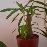 20220121_103603.webp