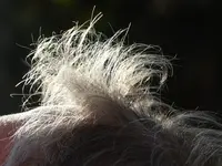 P1000720.webp
