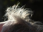 P1000720.JPG