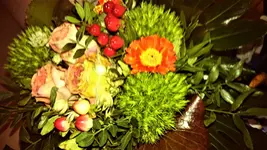 DSC_1555 (2).webp