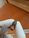 20220123_133721.jpg