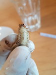 20220123_133842.jpg