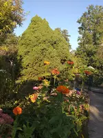 20200921_172218.webp