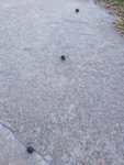 20220123_143636.jpg