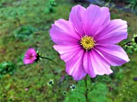 IMG_20201111_100926_1.webp
