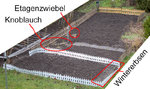 garten_start.jpg