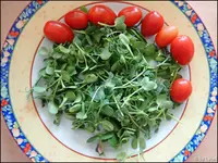 c020.webp