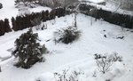 0D5A1177-6700-4AB5-BF8A-CAAEB93C5974.jpeg