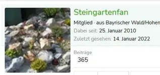 Steingarten.webp