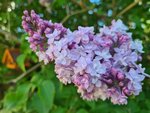 20220125_124148.jpg