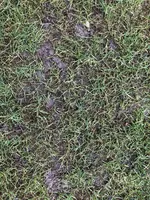 20220125_124615817_iOS.webp