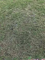 20220125_124624889_iOS.webp