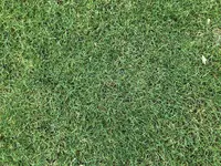 20220125_124815232_iOS.webp