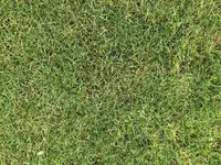 20220125_124831861_iOS.webp